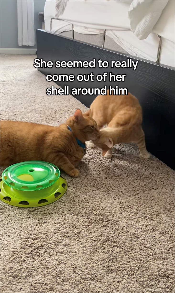 She seemed to really come out of her shell around him