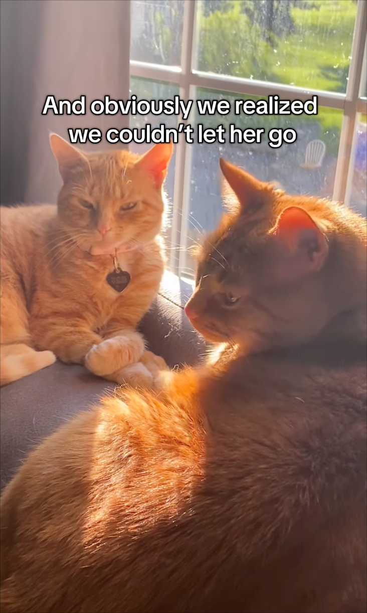 And obviously we realized we couldn't let her go