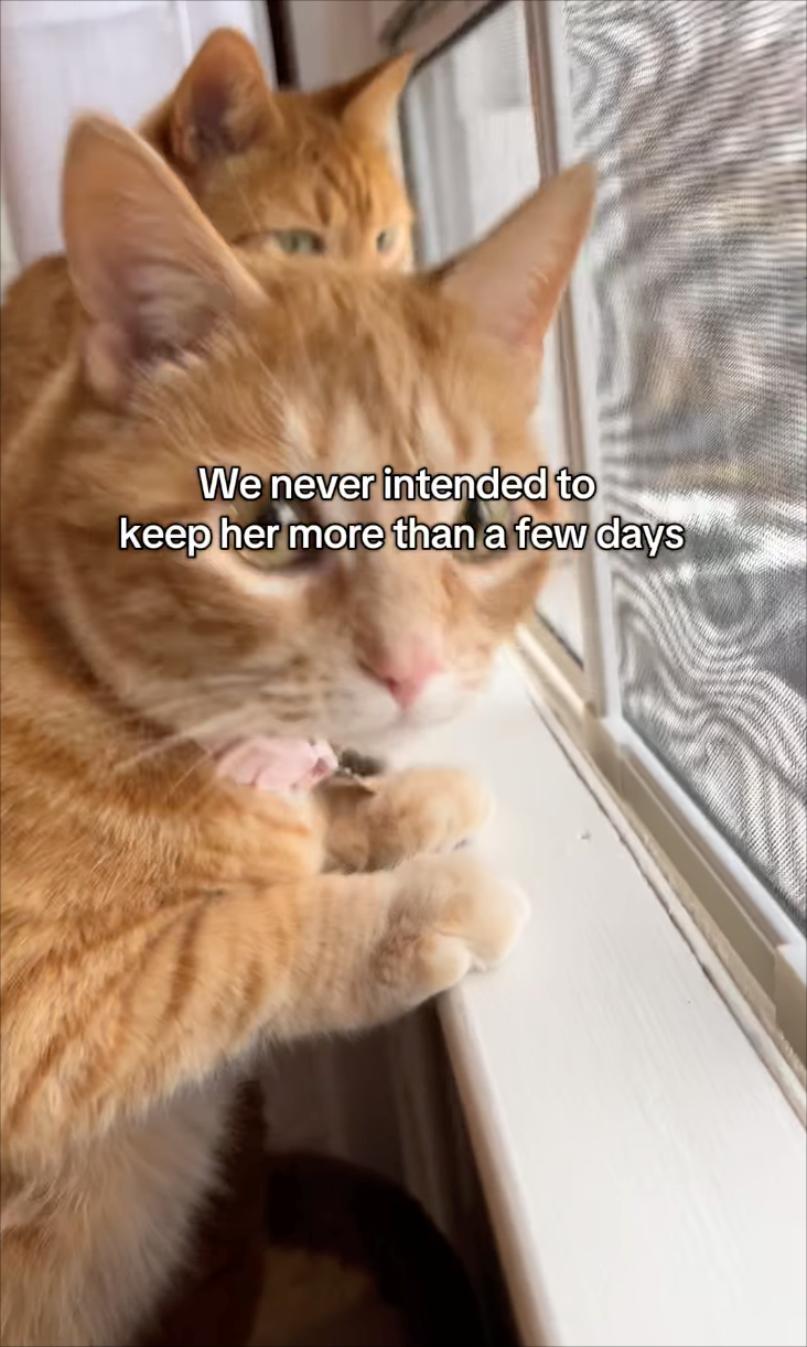 We never intended to keep her more than a few days