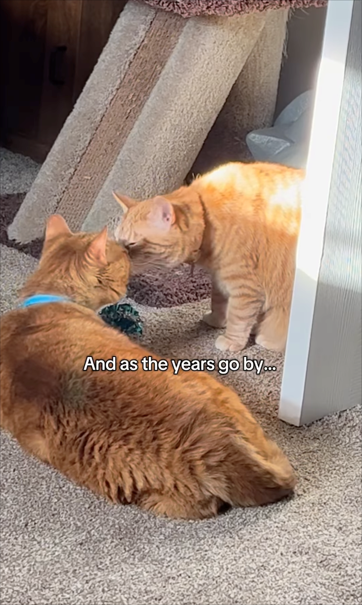 And as the years go by...