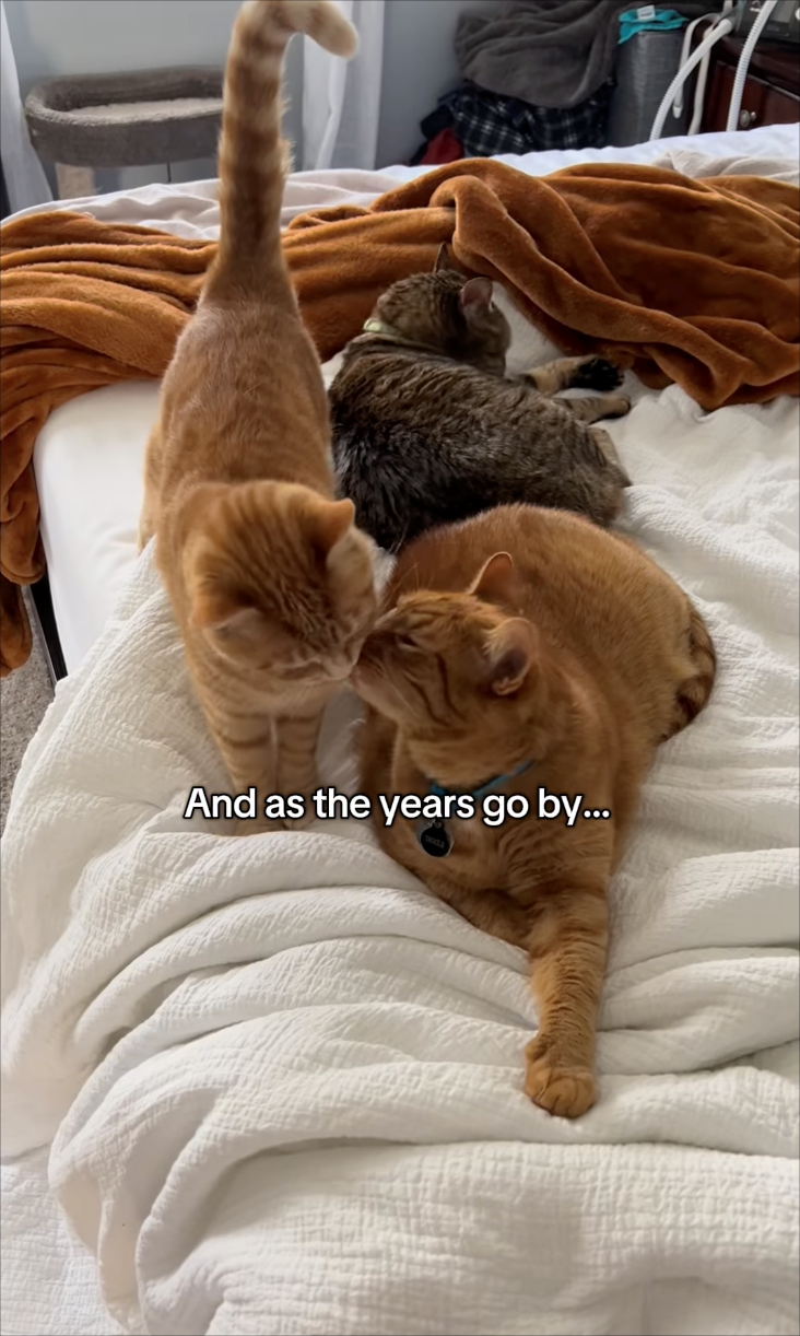 And as the years go by...