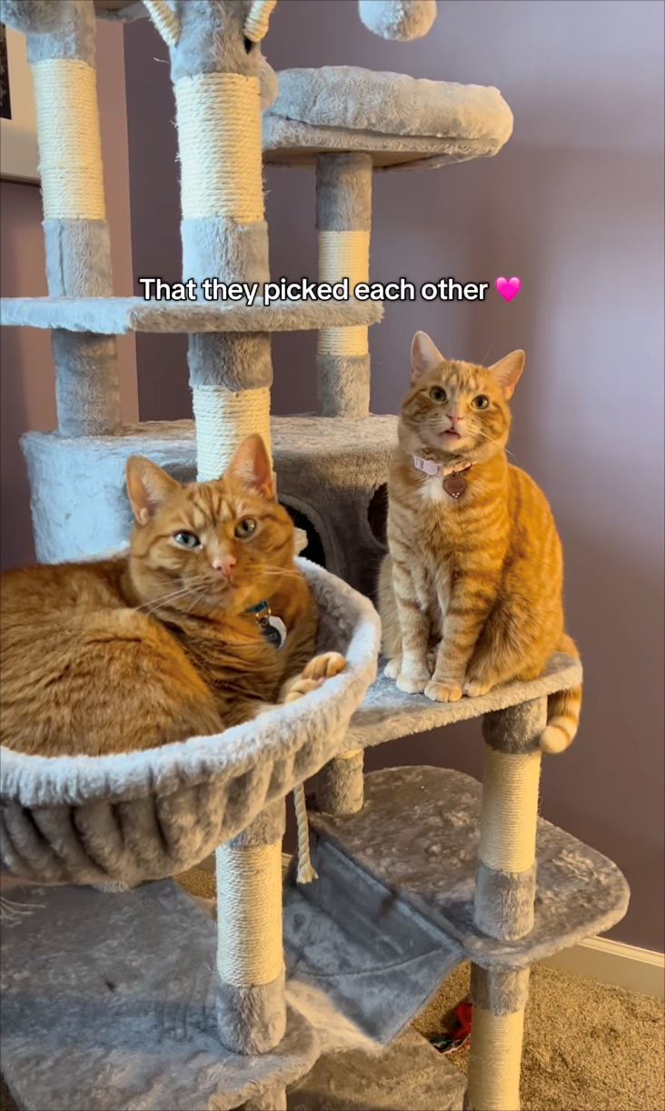 That they picked each other