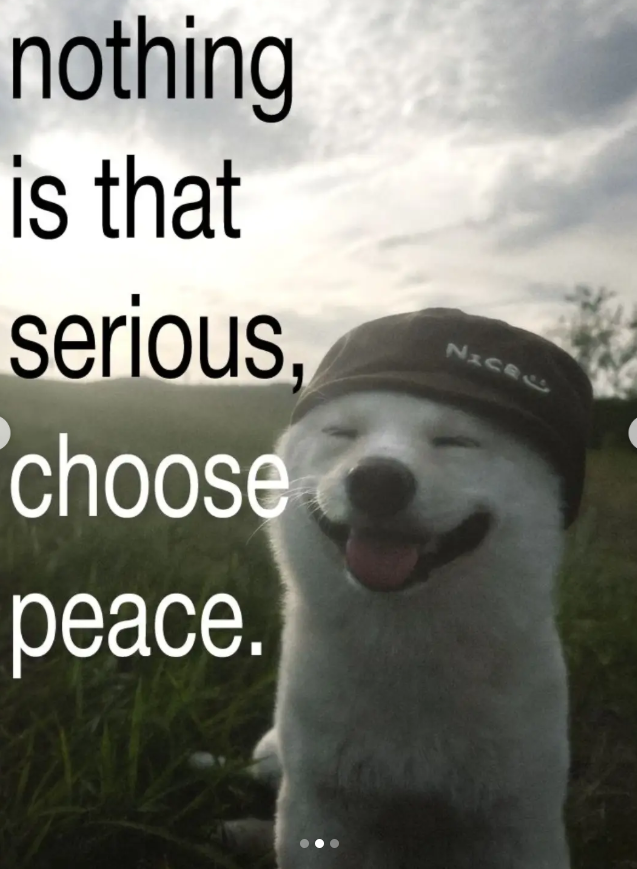 nothing is that serious, choose peace. Nicke