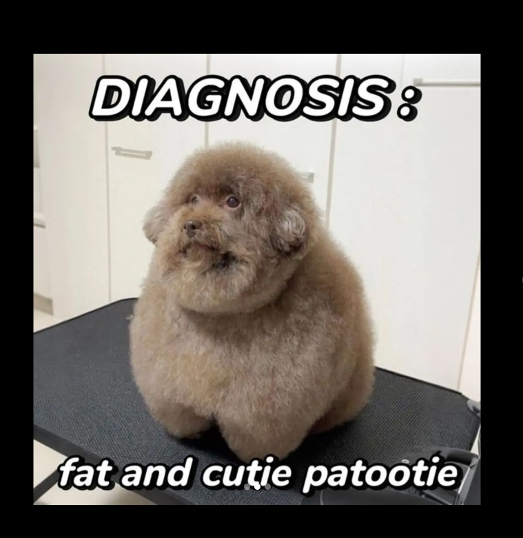 DIAGNOSIS: fat and cutie patootie