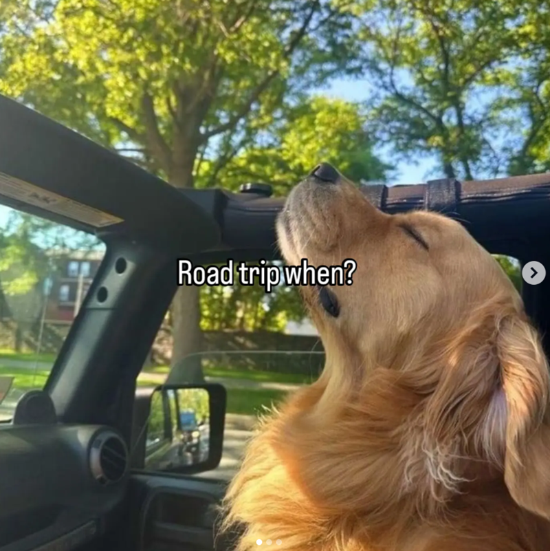 Road trip when? >
