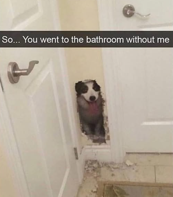 So... You went to the bathroom without me