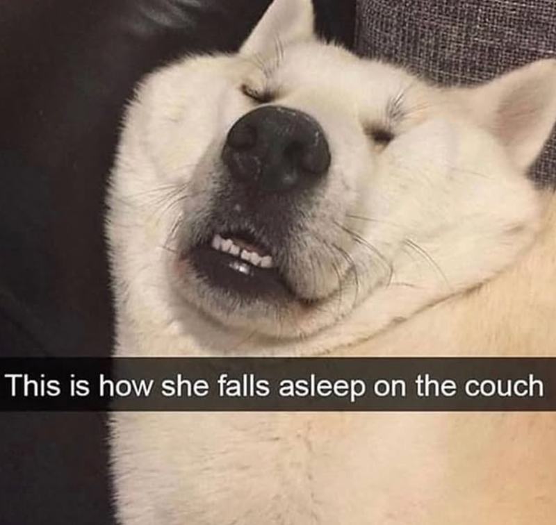 This is how she falls asleep on the couch