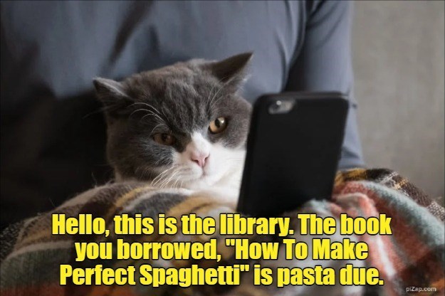 Cheezburger Image 10631893760