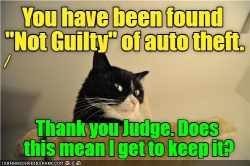 Cheezburger Image 10631897344