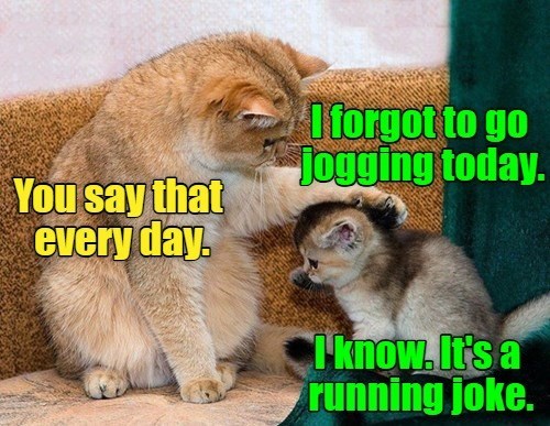 Cheezburger Image 10631900160