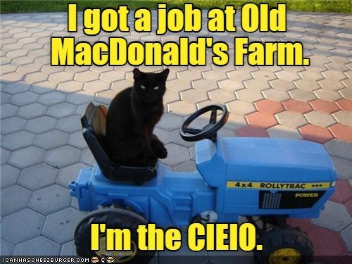 Cheezburger Image 10631900416