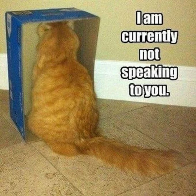 Iam currently not speaking to you.