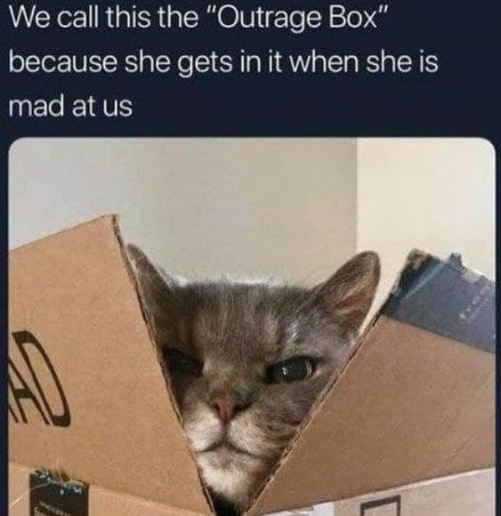 We call this the "Outrage Box" because she gets in it when she is mad at us