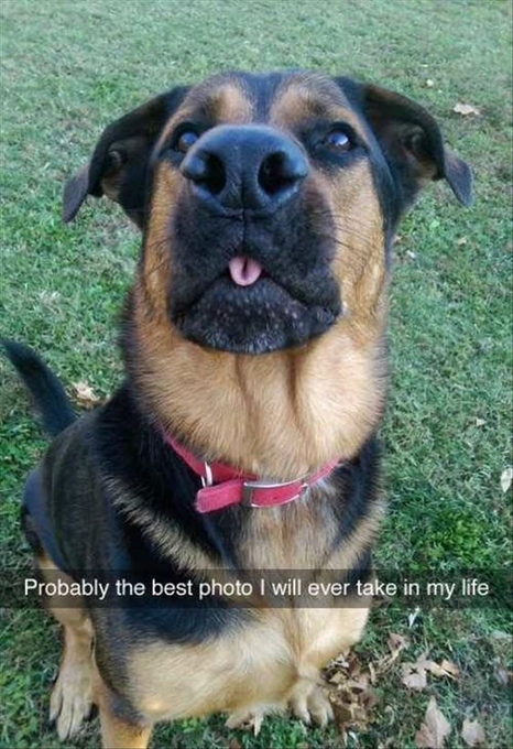 Probably the best photo I will ever take in my life