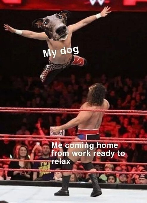 My dog Me coming home from work ready to relax