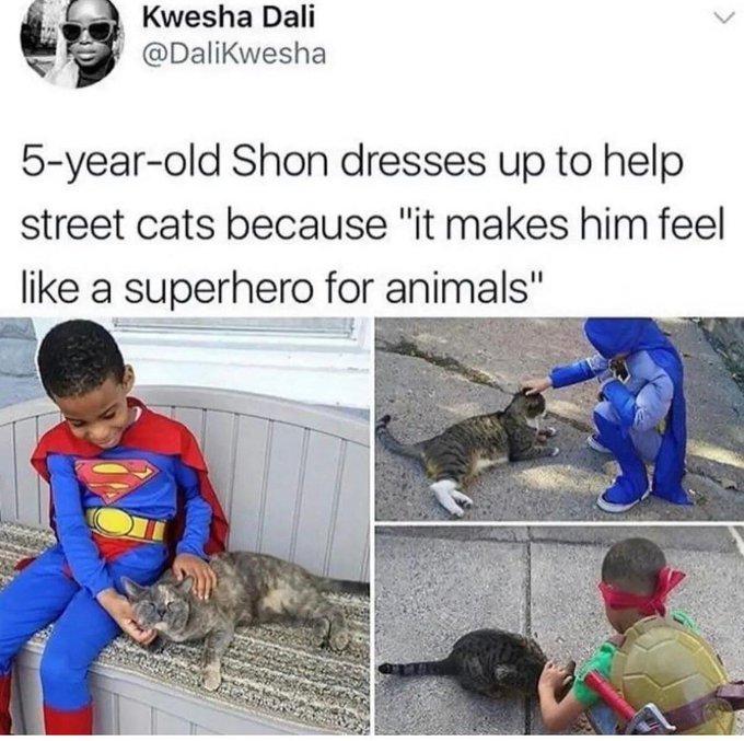 Kwesha Dali @DaliKwesha 5-year-old Shon dresses up to help street cats because "it makes him feel like a superhero for animals"