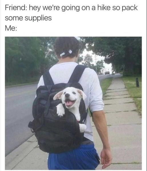 Friend: hey we're going on a hike so pack some supplies Me: