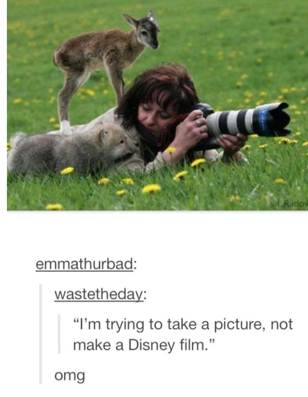 LRadov emmathurbad: wastetheday: "I'm trying to take a picture, not make a Disney film." omg