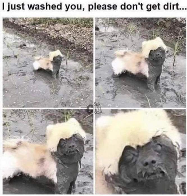 I just washed you, please don't get dirt...