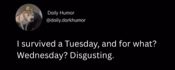 Daily Humor @daily.darkhumor I survived a Tuesday, and for what? Wednesday? Disgusting.