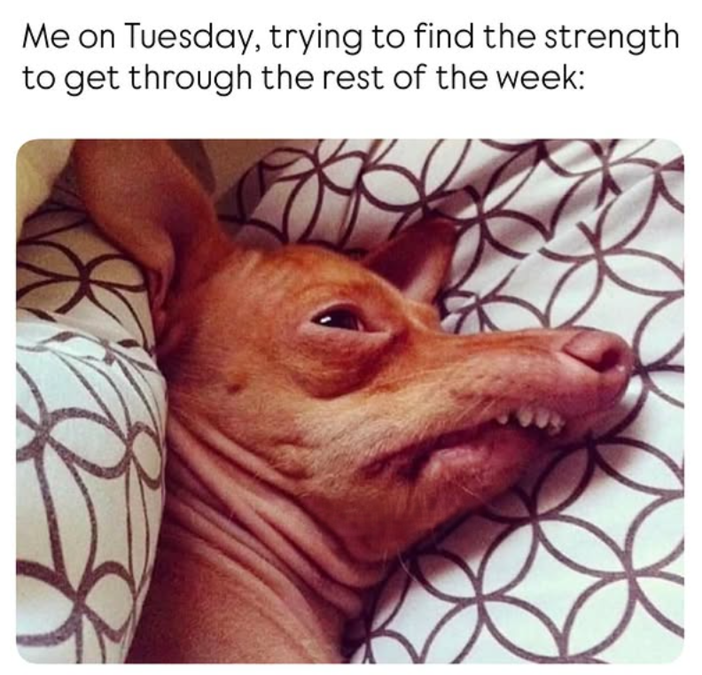 Me on Tuesday, trying to find the strength to get through the rest of the week: