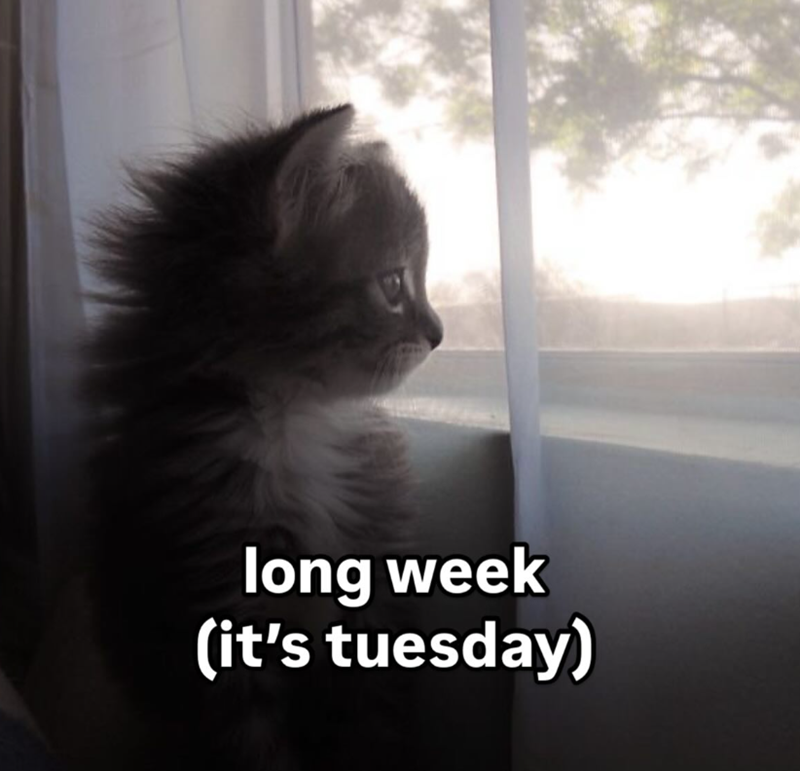 long week (it's tuesday)
