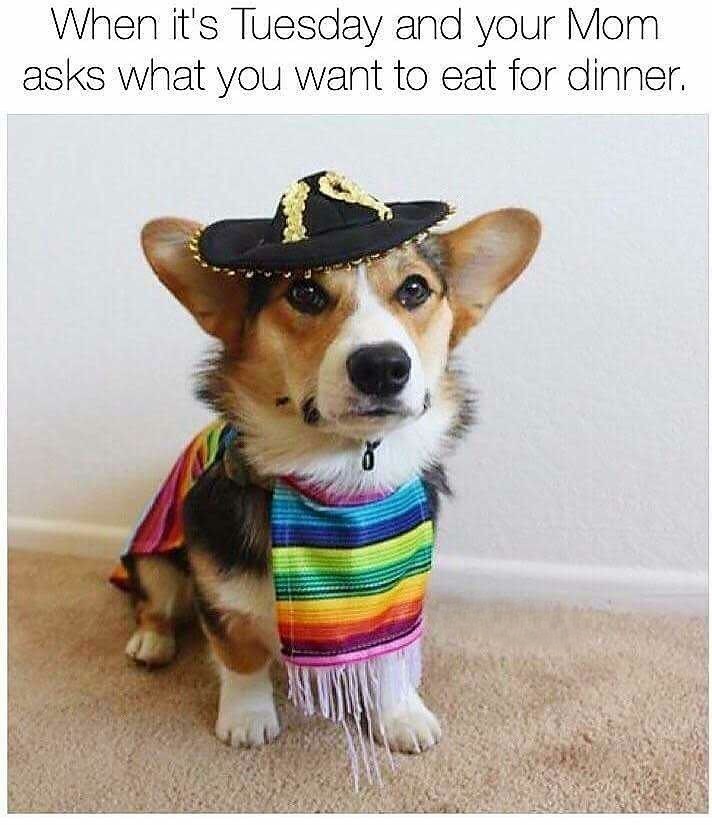 When it's Tuesday and your Mom asks what you want to eat for dinner.