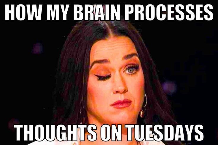 HOW MY BRAIN PROCESSES THOUGHTS ON TUESDAYS
