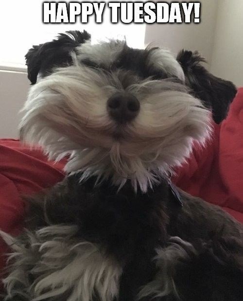 HAPPY TUESDAY!