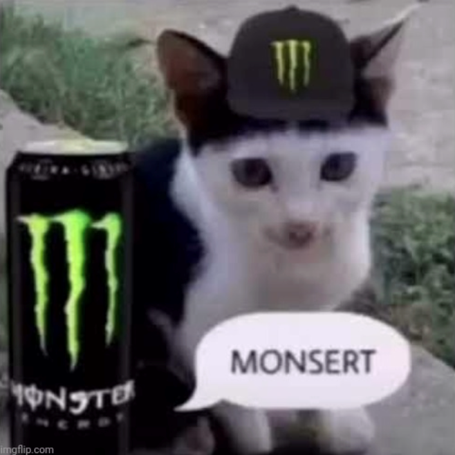 ONSTE MONSERT imgflip.com