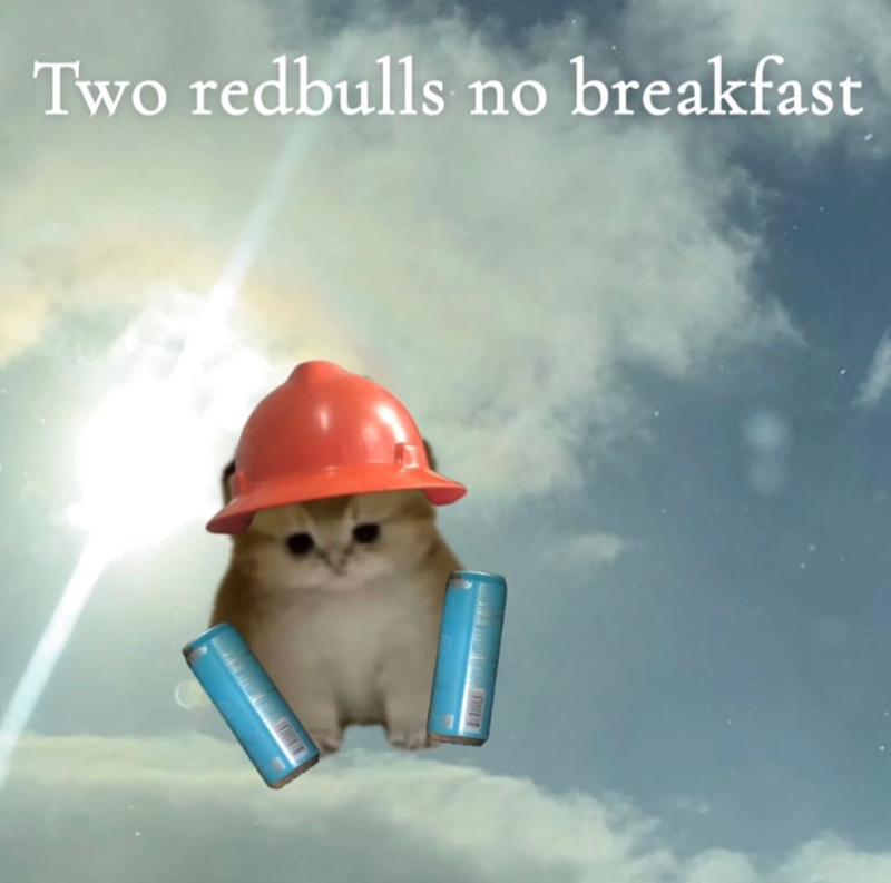 Two redbulls no breakfast