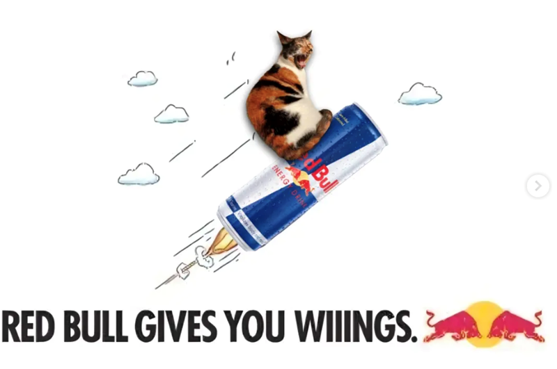 Vializes Bull ENERGY DRING RED BULL GIVES YOU WIIINGS. >