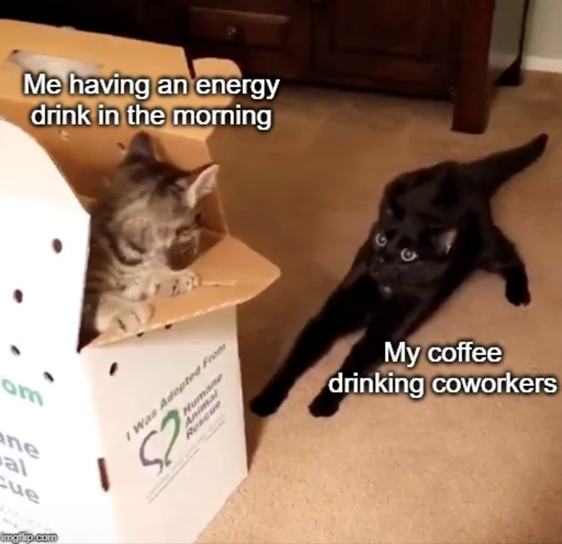 Me having an energy drink in the morning om ne al Cue imgflip.com I Was Adopted From 52 Humane Animal Rescue My coffee drinking coworkers