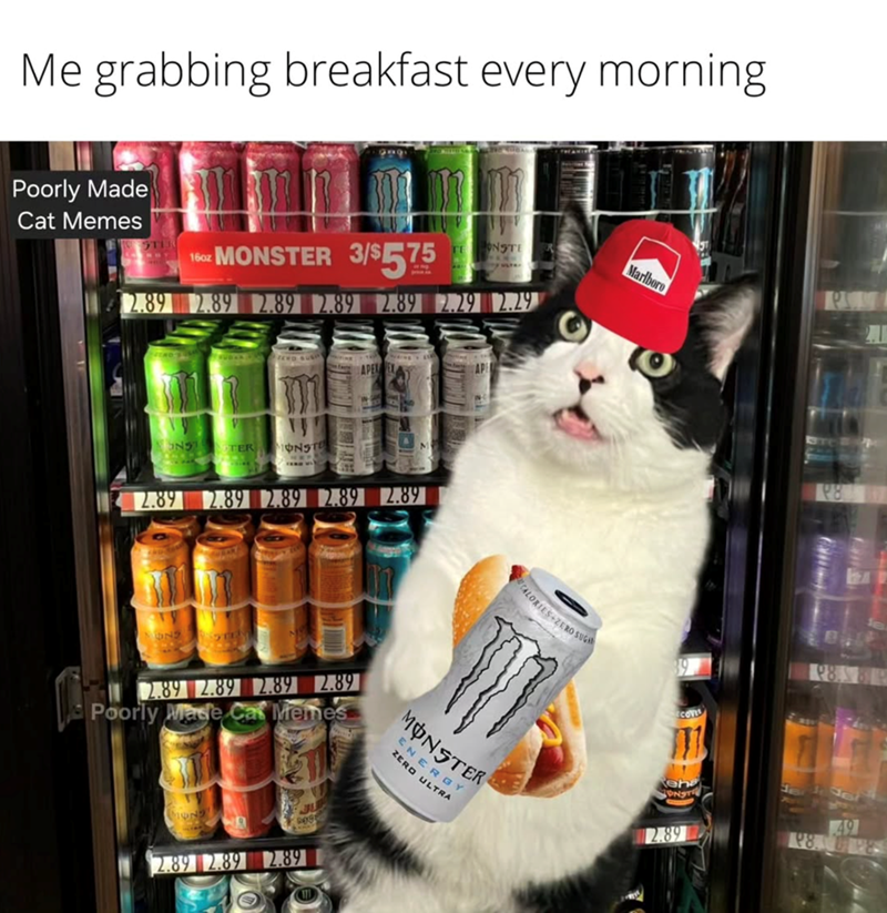 Me grabbing breakfast every morning Poorly Made Cat Memes STER 160x MONSTER 3/$575 TENSTE 2.89 2.89 2.89 2.89 2.89 2.29 2.29 לאגן APEN E AP m TER MONST 2.89 2.89 2.89 2.89 2.89 629 2.89 2.89 2.89 2.89 Poorly Made Cat Memes wa 2.89 2.89 2.89 JU Og MONSTER ENERGY ZERO ULTRA CALORIES+ZERO SUG Marlboro ECOVE eh ONST P8 2.89 49 P8. PE