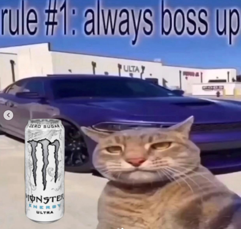 rule #1: always boss up 1. PULTAY L ZERO SUGAR MONSTER ENERG ULTRA