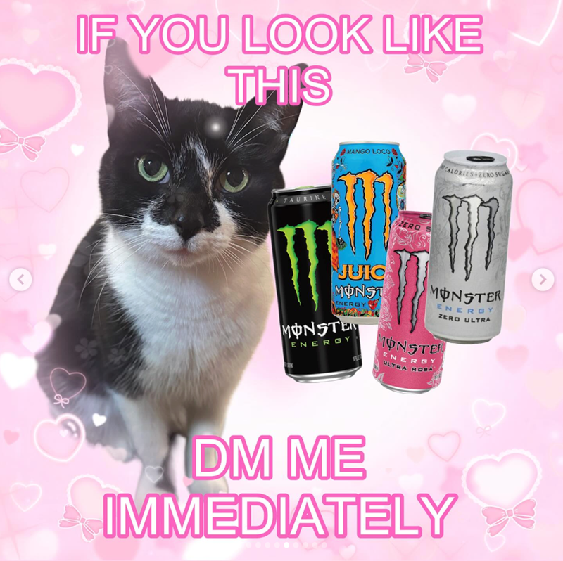 < IF YOU LOOK LIKE THIS MANGO LOCO TAURINE ZERO CALORIES ZERO SUGA JUIC MONST ENERGY MONSTE ENERGY MONSTER ENERGY ZERO ULTRA MONSTER ENERGY ULTRA ROSA DM ME IMMEDIATELY >
