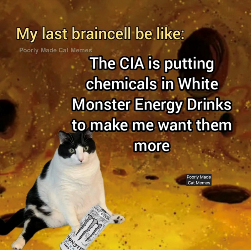 My last braincell be like: Poorly Made Cat Memes The CIA is putting chemicals in White Monster Energy Drinks to make me want them more ZERO SUGAR MONSTE ZERO Poorly Made Cat Memes
