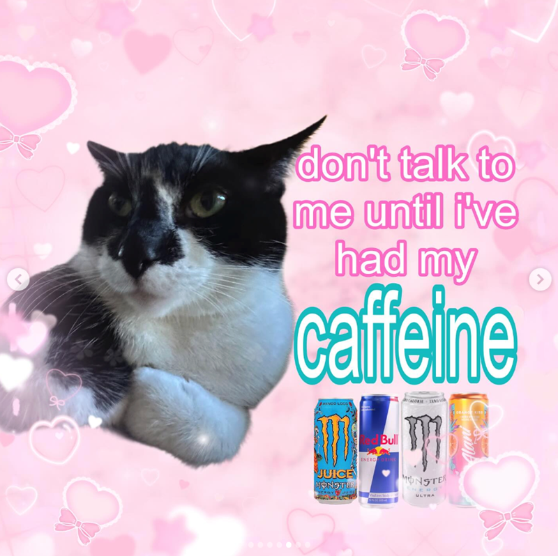 < don't talk to me until i've had my caffeine > MANGO LOCO CALORIE ZEROV ORANGE KISE Bull JUICE MONSTER NERGY! JUICE ENERG DRINK Vializes body o MONSTER NERG ULTRA