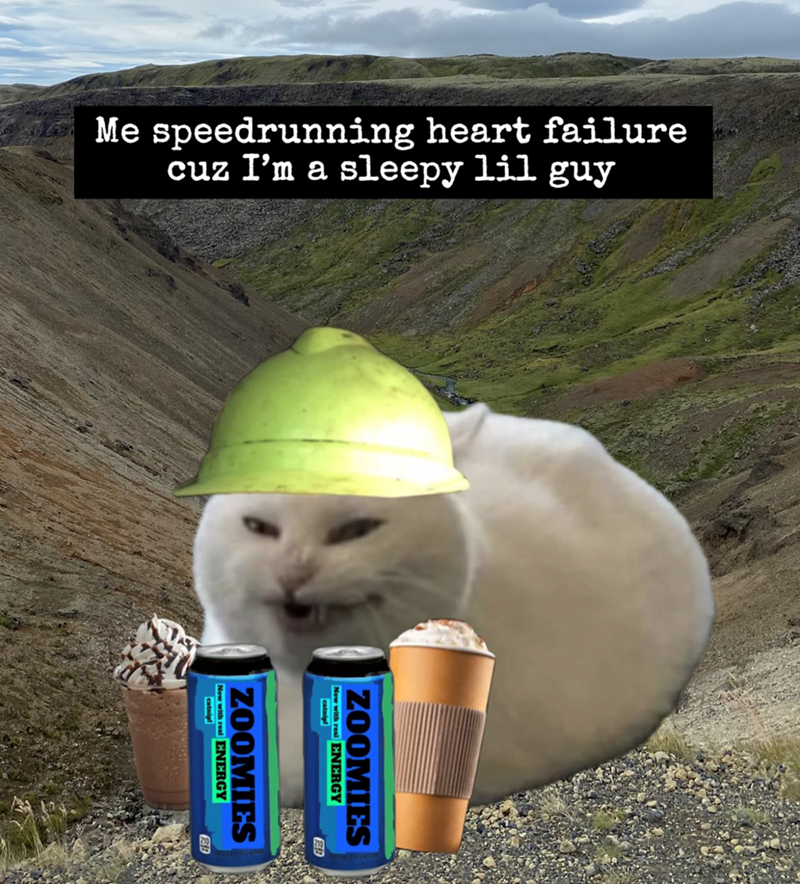 Me speedrunning heart failure cuz I'm a sleepy lil guy Now with real ENERGY ZOOMIES Now with real ENERGY ZOOMIES