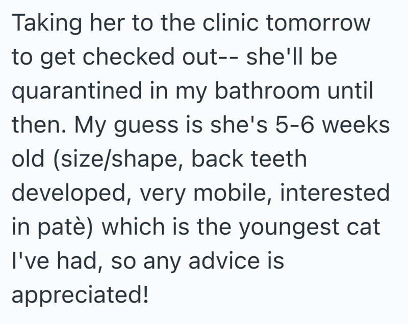 Taking her to the clinic tomorrow to get checked out-- she'll be quarantined in my bathroom until then. My guess is she's 5-6 weeks old (size/shape, back teeth developed, very mobile, interested in patè) which is the youngest cat I've had, so any advice is appreciated!