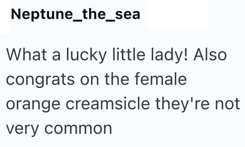 Neptune_the_sea What a lucky little lady! Also congrats on the female orange creamsicle they're not very common