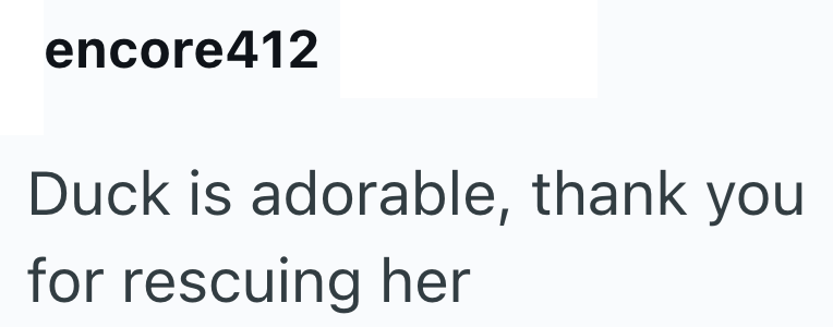 encore412 Duck is adorable, thank you for rescuing her