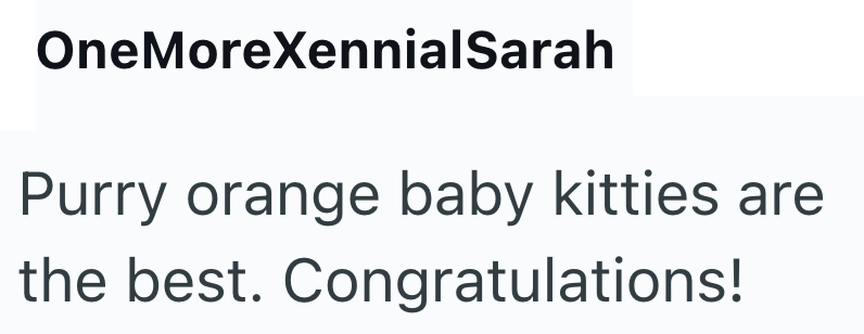 OneMoreXennialSarah Purry orange baby kitties are the best. Congratulations!