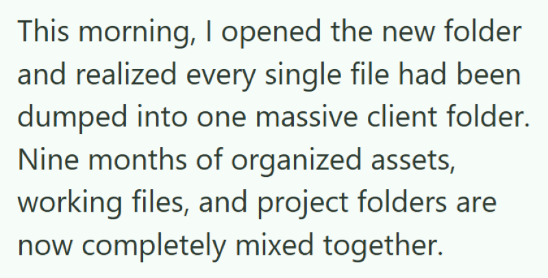 This morning, I opened the new folder and realized every single file had been dumped into one massive client folder. Nine months of organized assets, working files, and project folders are now completely mixed together.