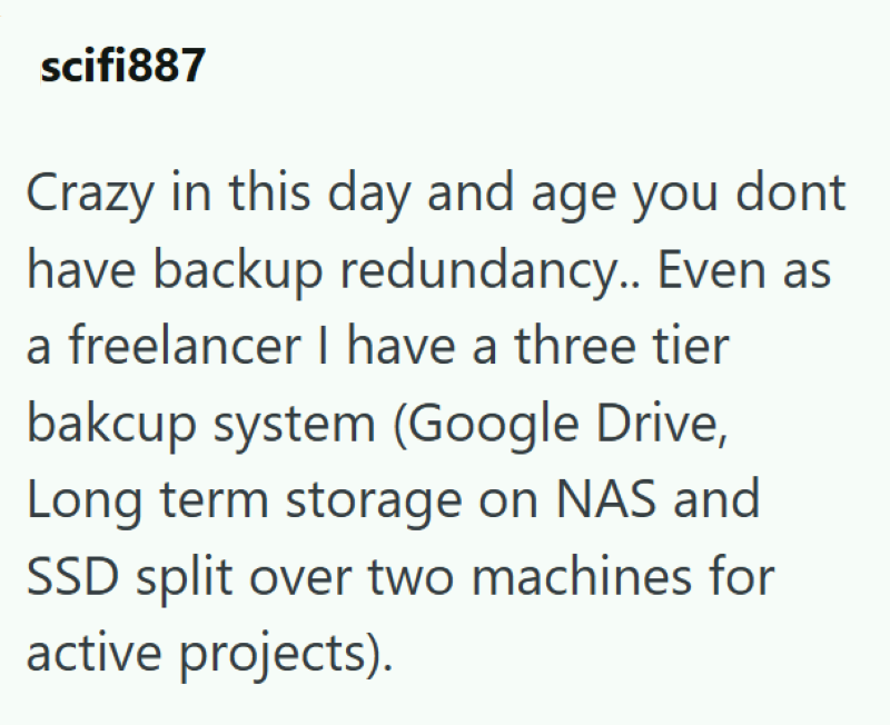 scifi887 Crazy in this day and age you dont have backup redundancy.. Even as a freelancer I have a three tier bakcup system (Google Drive, Long term storage on NAS and SSD split over two machines for active projects).