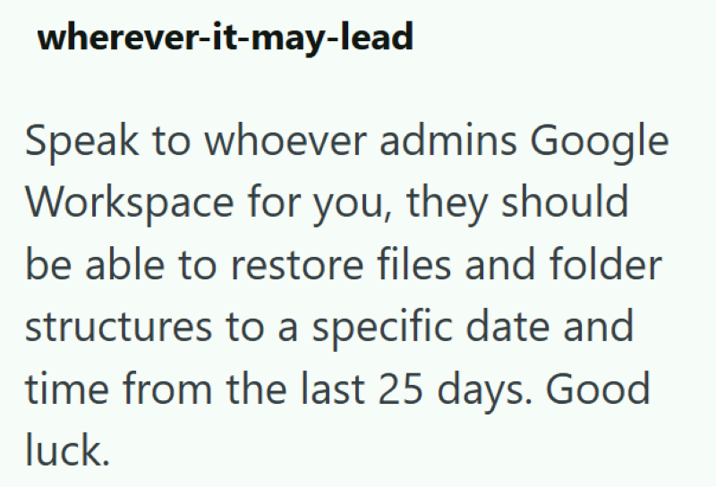 wherever-it-may-lead Speak to whoever admins Google Workspace for you, they should be able to restore files and folder structures to a specific date and time from the last 25 days. Good luck.
