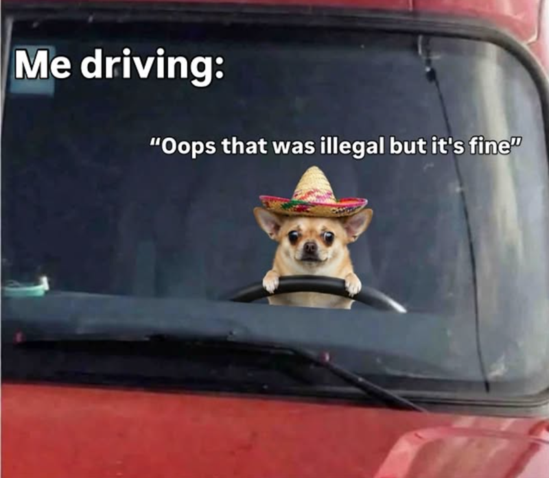Me driving: "Oops that was illegal but it's fine"