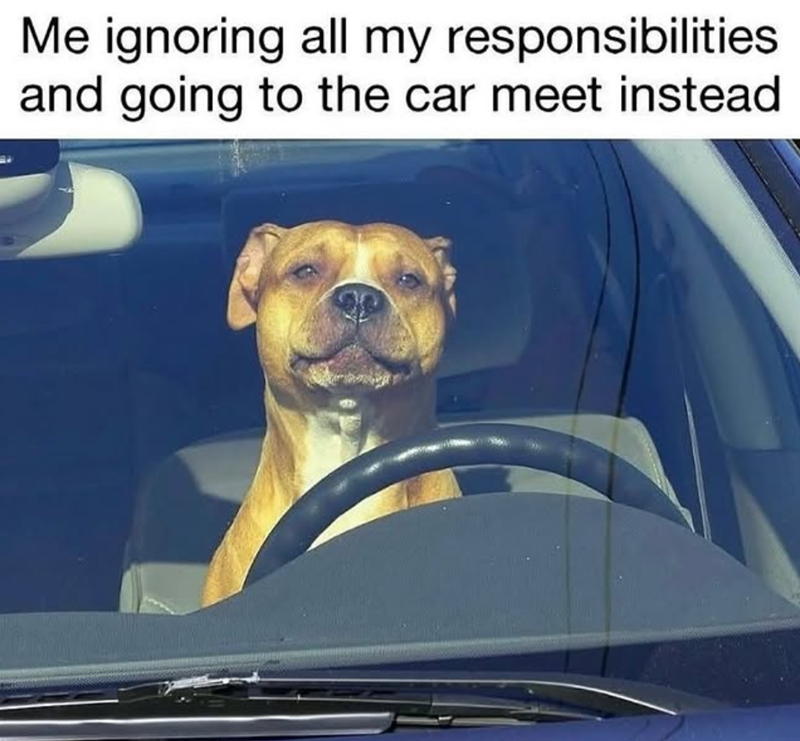 Me ignoring all my responsibilities and going to the car meet instead