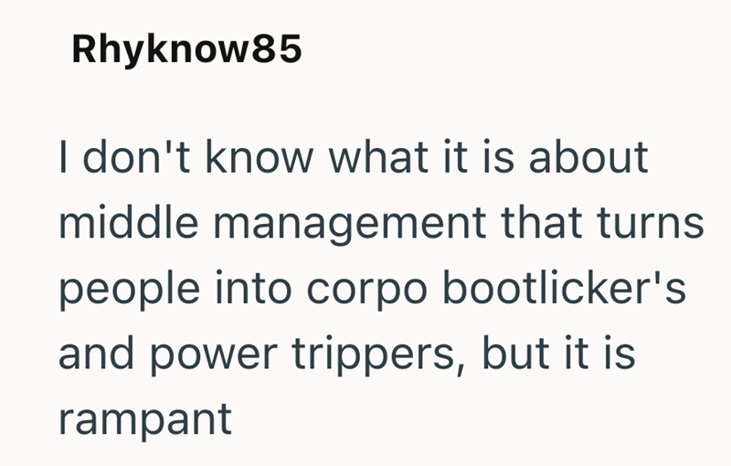 Rhyknow85 I don't know what it is about middle management that turns people into corpo bootlicker's and power trippers, but it is rampant
