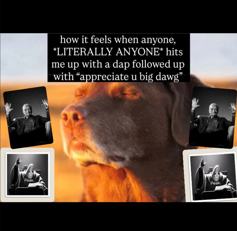 how it feels when anyone, *LITERALLY ANYONE* hits me up with a dap followed up with “appreciate u big dawg” Peak. Peak.